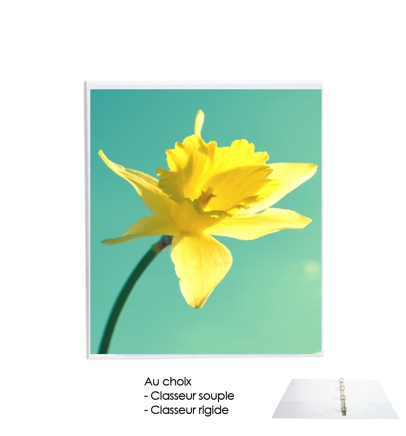 Classeur Daffodil