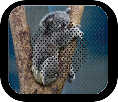 Enceinte Koala Bear Australia