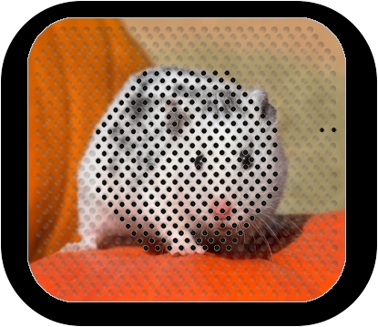 Enceinte Hamster dalmatien blanc tacheté de noir