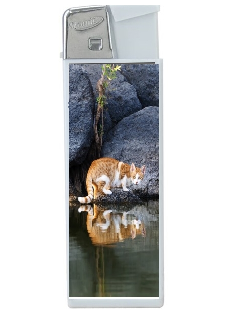 Briquet  Reflet chat dans l'eau d'un étang 