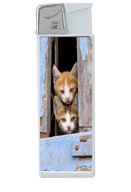 Briquet Petits chatons mignons à la fenêtre ancienne