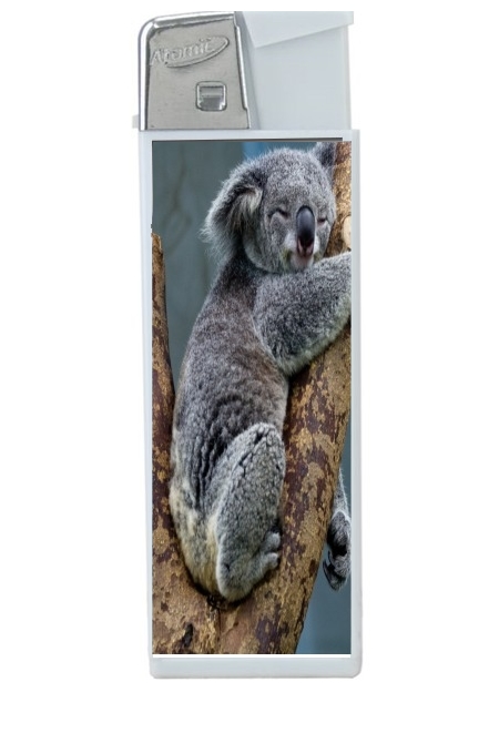 Briquet Koala Bear Australia
