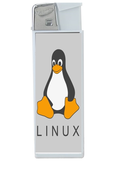 Briquet Linux Hébergement