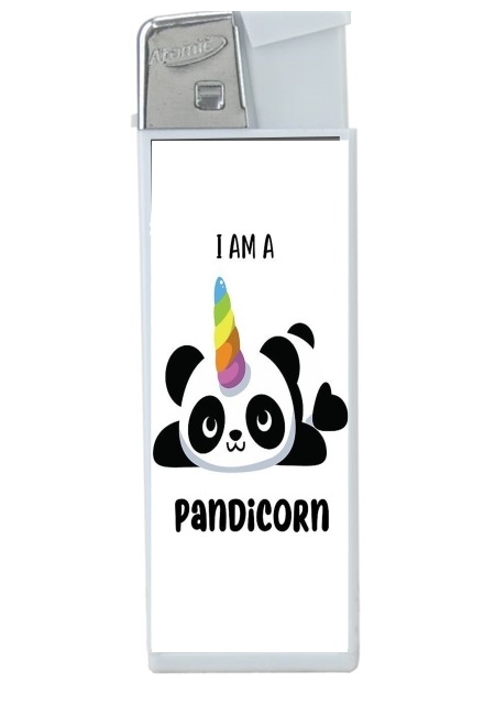 Briquet Panda x Licorne Means Pandicorn