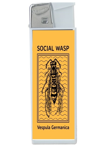 Briquet Social Wasp Vespula Germanica