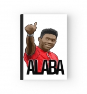 passeport-sublimation David Alaba Bayern