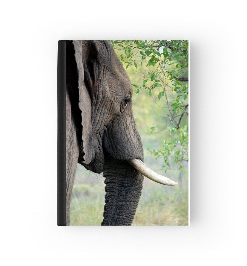 Agenda Elephant