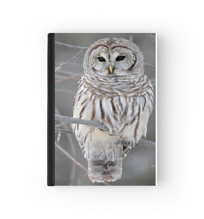 Agenda owl bird on a branch