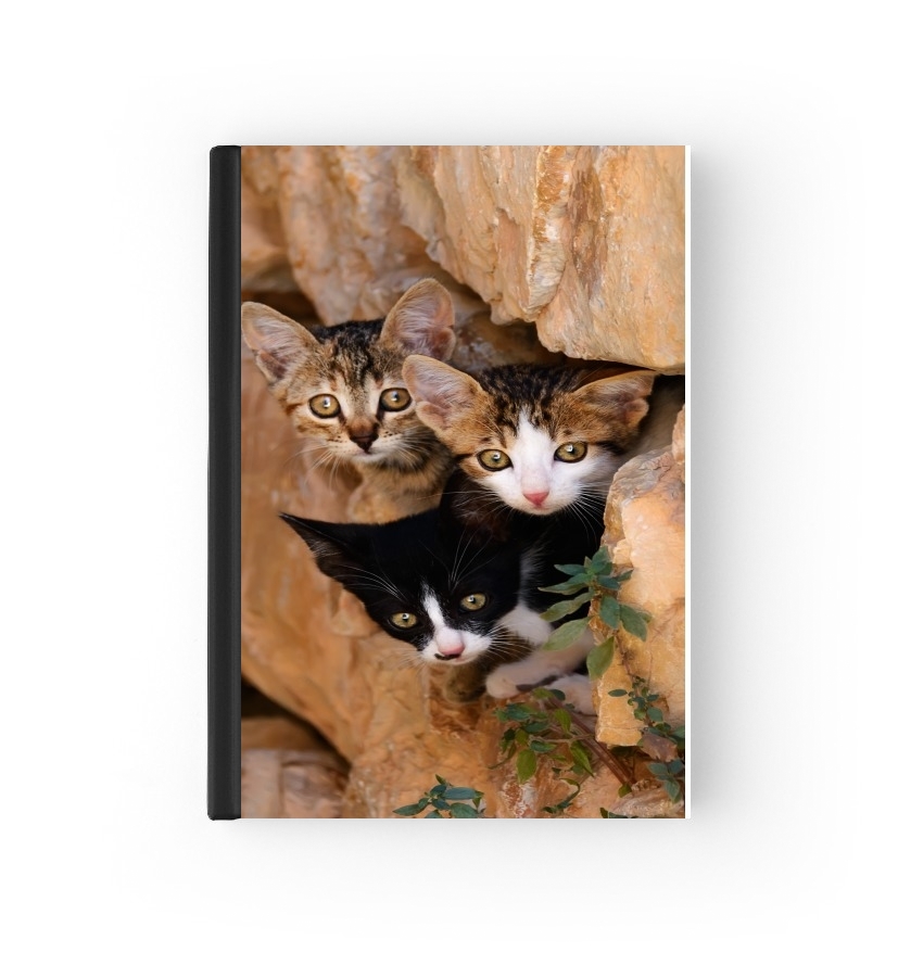 Housse Trois petits chatons mignons dans un orifice d'un mur