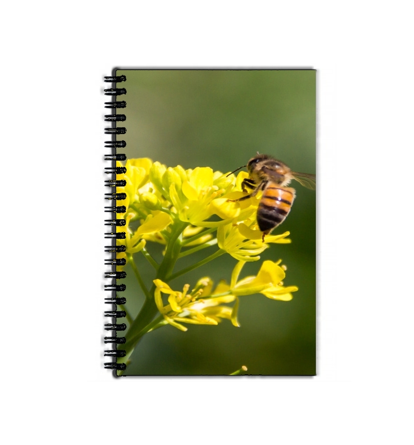 Cahier A bee in the yellow mustard flowers
