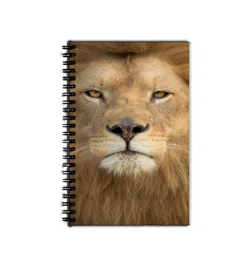Cahier Africa Lion