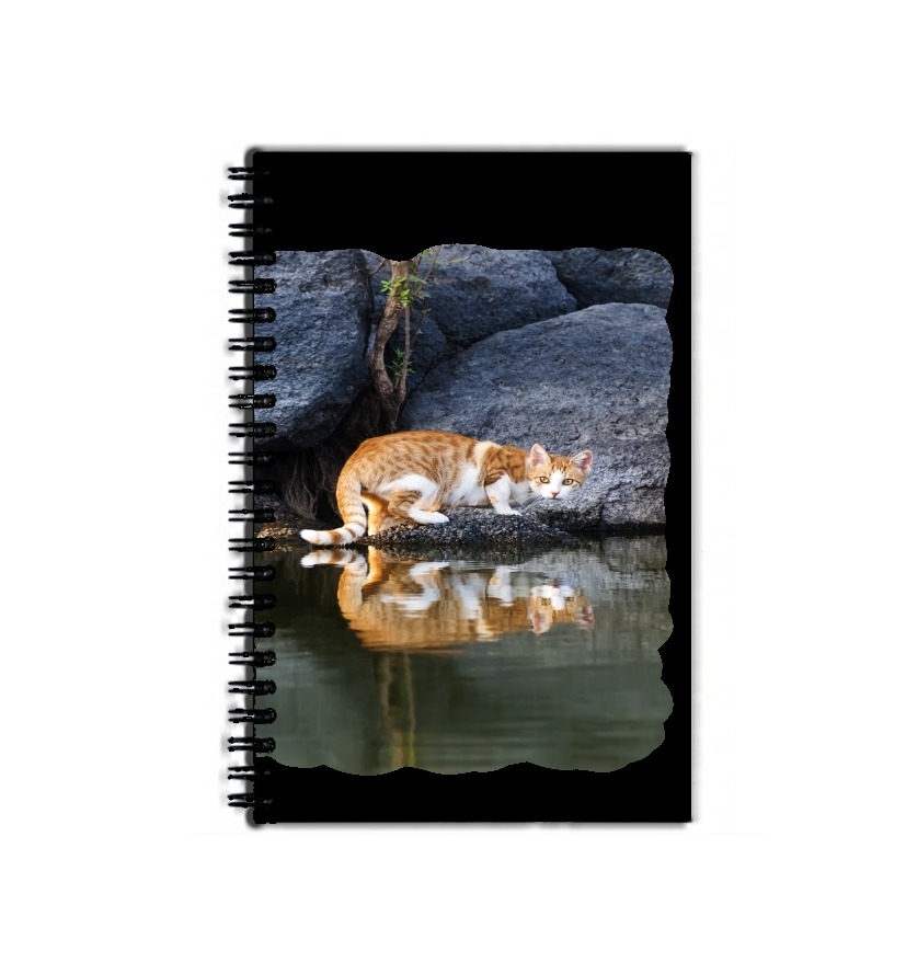 Cahier  Reflet chat dans l'eau d'un étang 