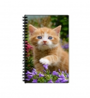 cahier-de-texte Bébé chaton mignon marbré rouge dans le jardin
