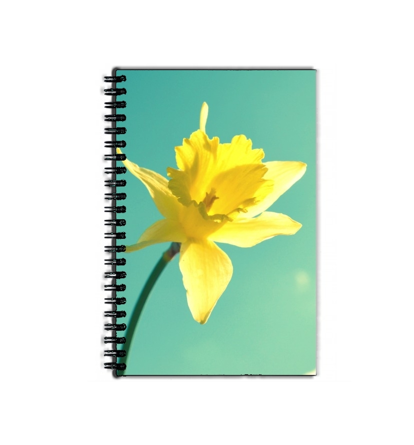 Cahier Daffodil