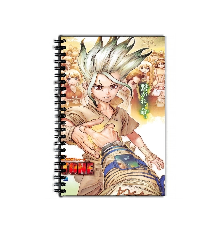 Cahier Dr Stone