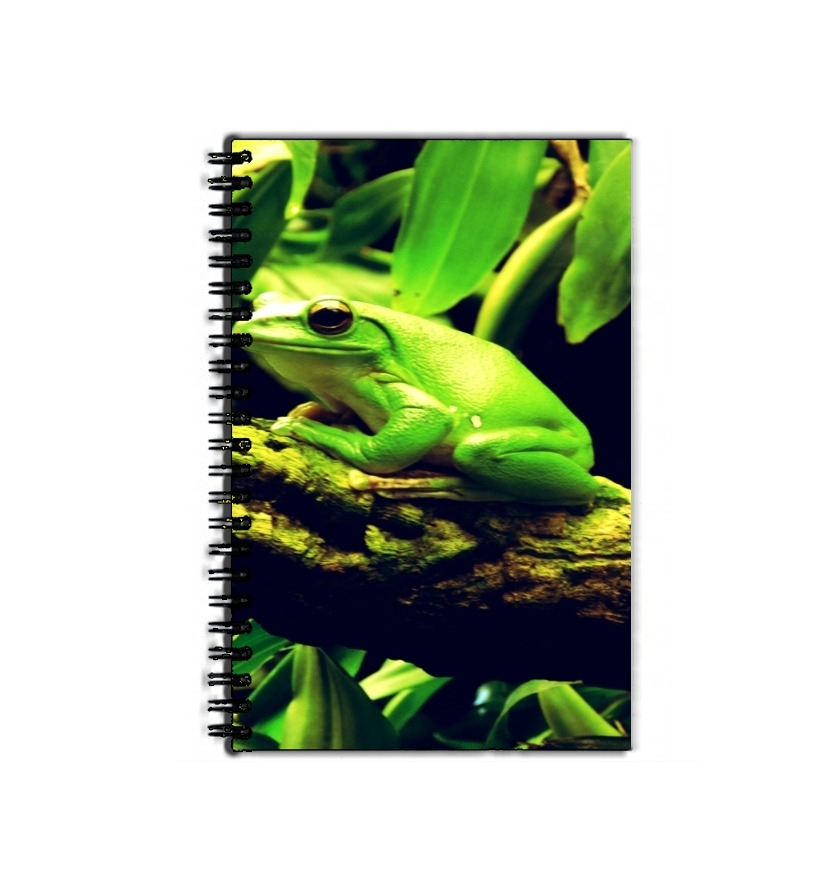 Cahier Green Frog