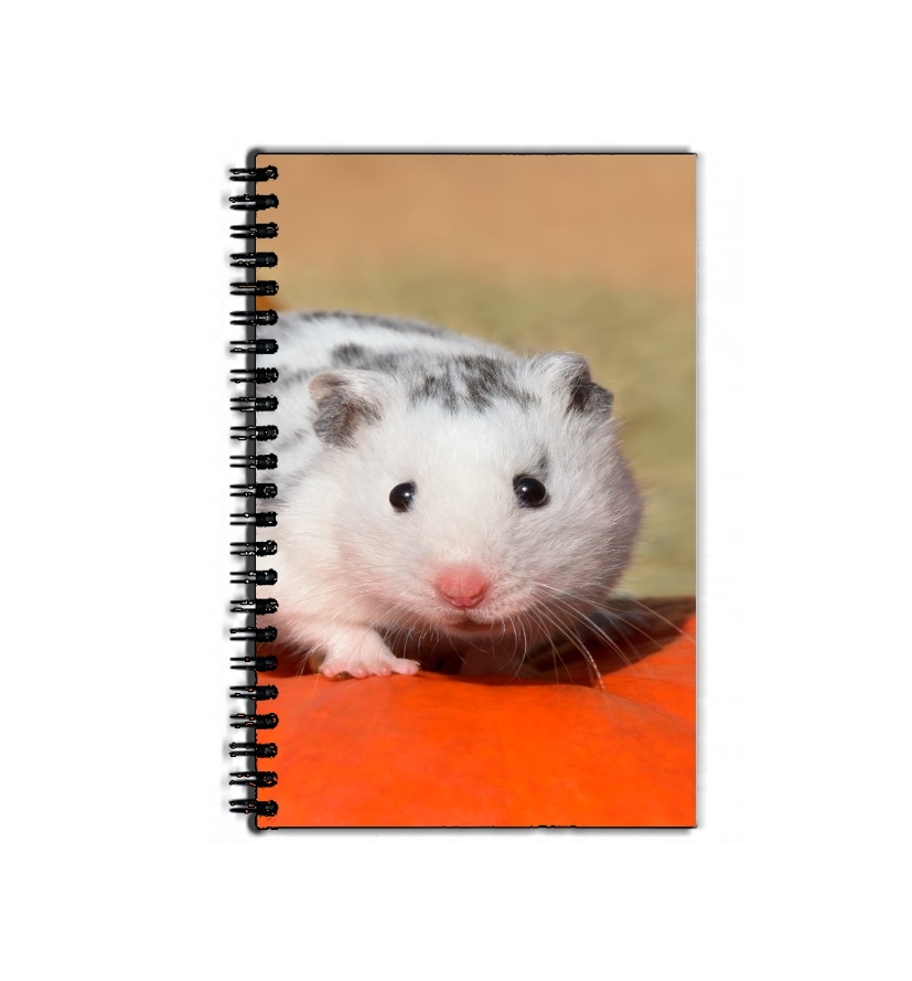 Cahier Hamster dalmatien blanc tacheté de noir