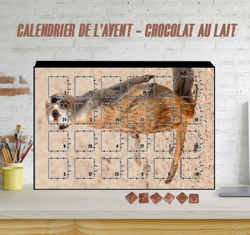 Calendrier Meerkat