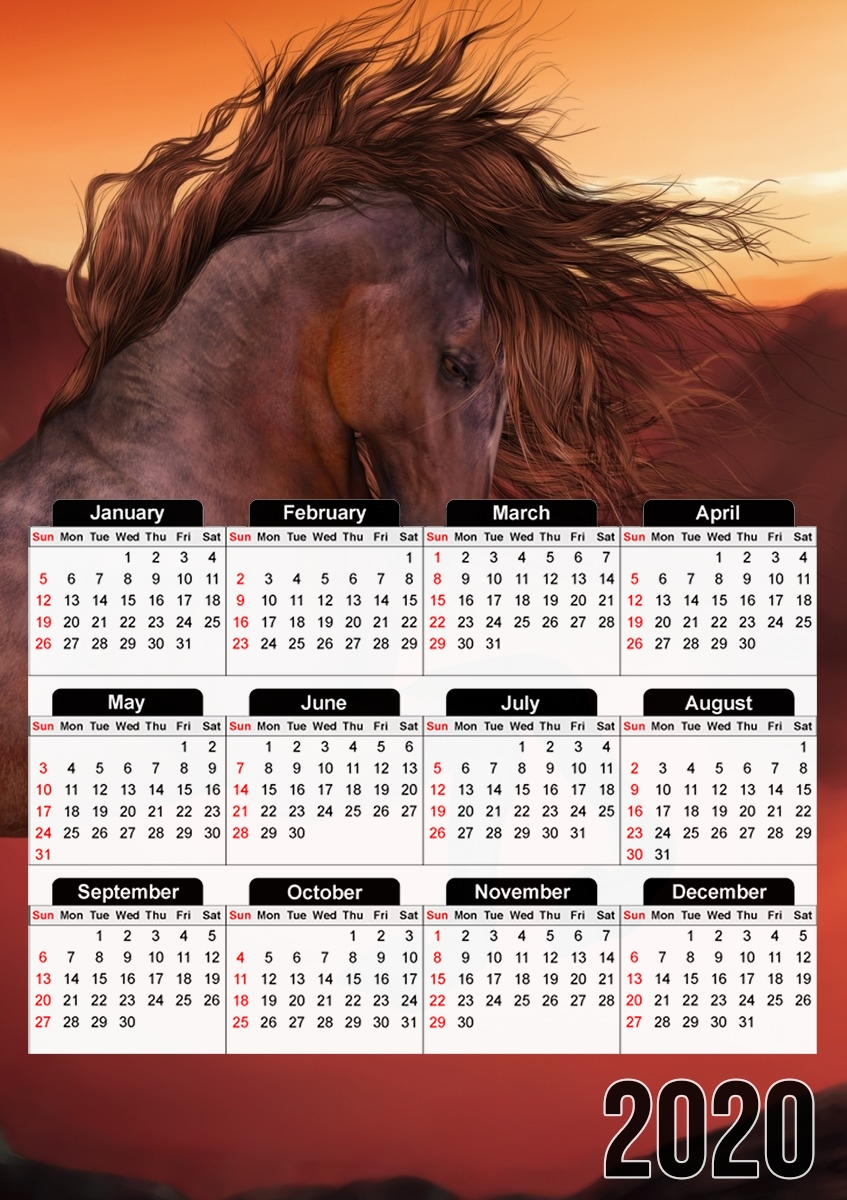 Calendrier A Horse In The Sunset
