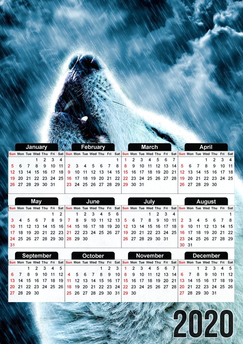 Calendrier A howling wolf in the rain