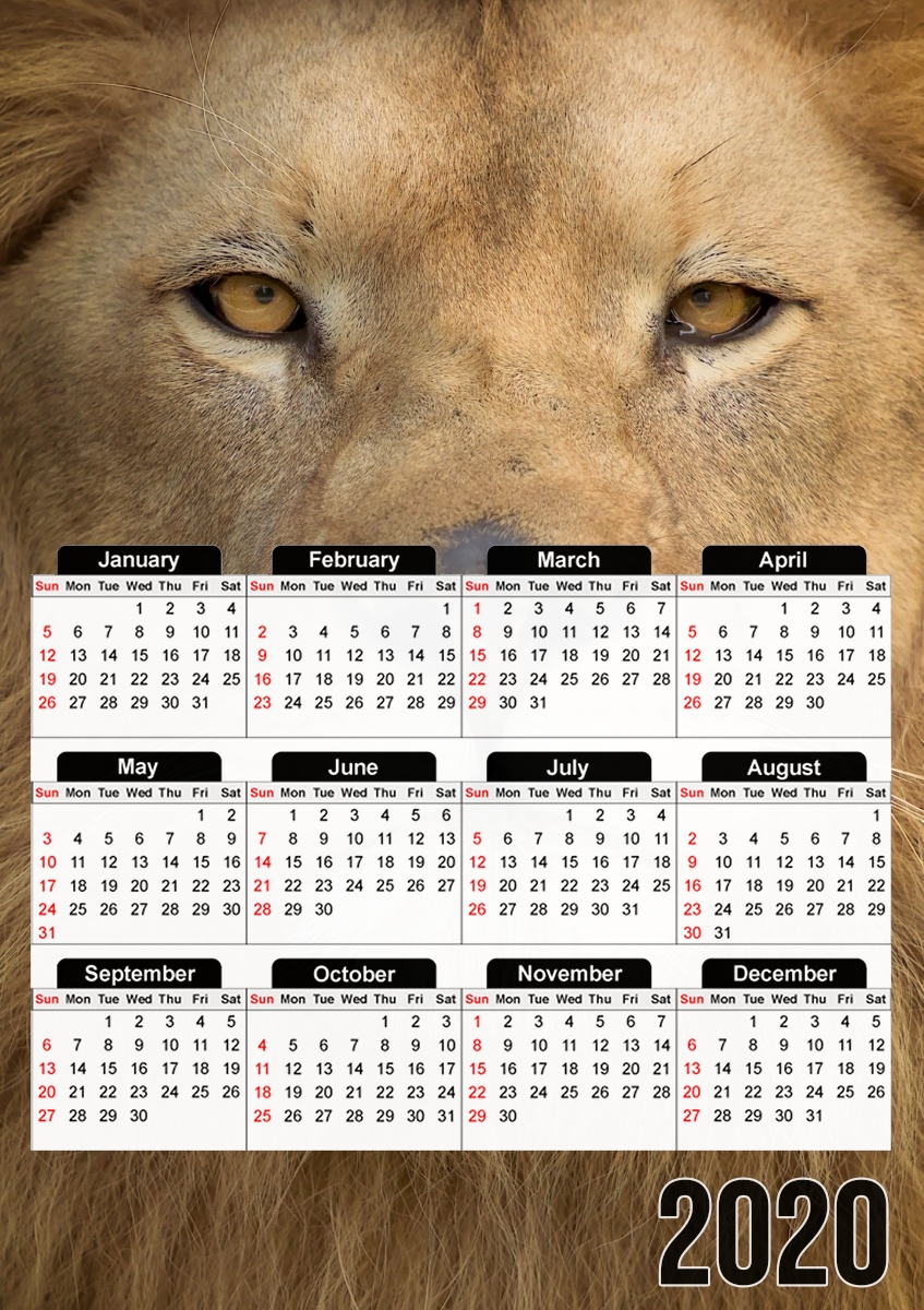 Calendrier Africa Lion