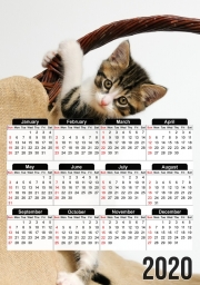 calendrier-photo Bébé chat, mignon chaton escalade