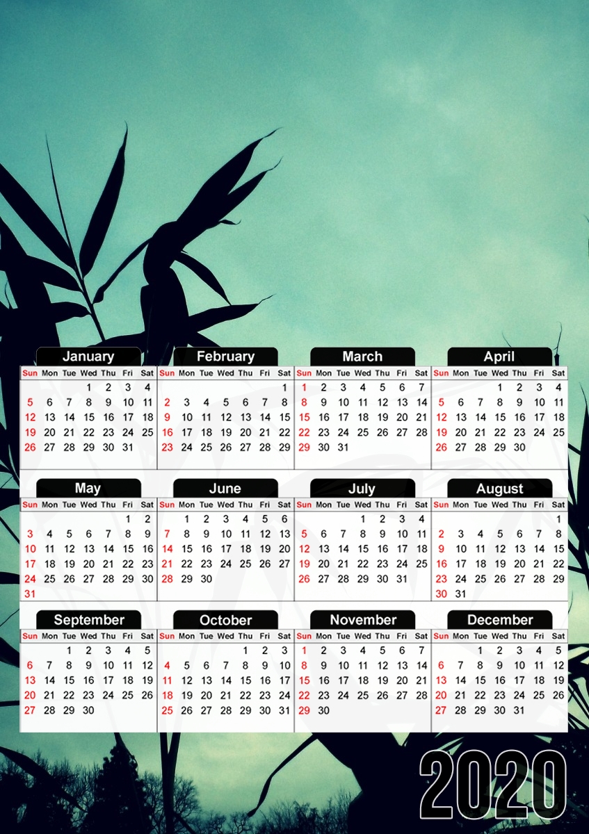 Calendrier Bamboo in the Nature
