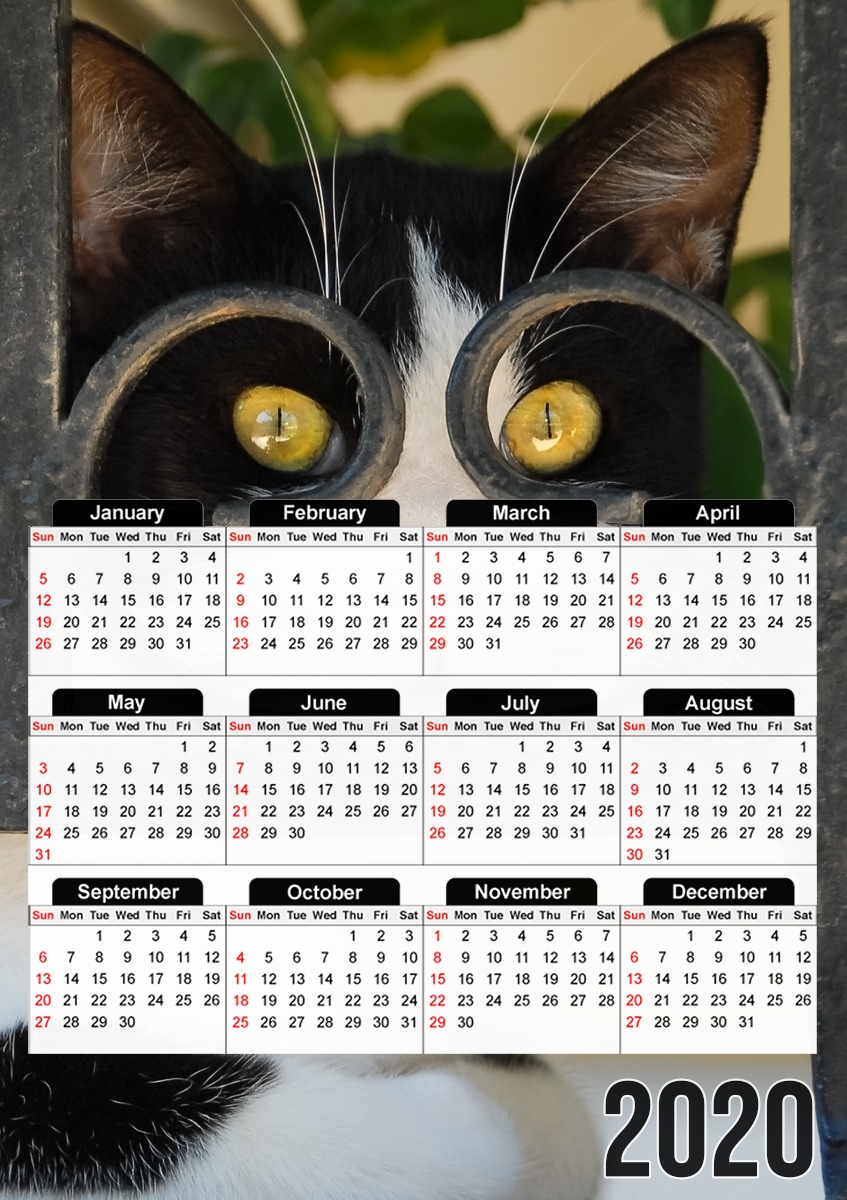 Calendrier chat avec montures de lunettes, elle voit par la