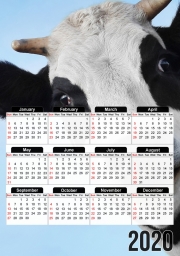 calendrier-photo Vache Art Drôle