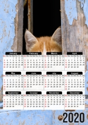 calendrier-photo Petits chatons mignons à la fenêtre ancienne