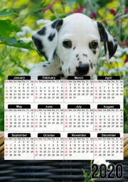 calendrier-photo chiot dalmatien dans un panier