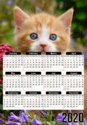 calendrier-photo Bébé chaton mignon marbré rouge dans le jardin