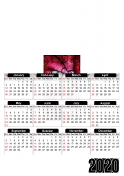 calendrier-photo Hewo Kitteh