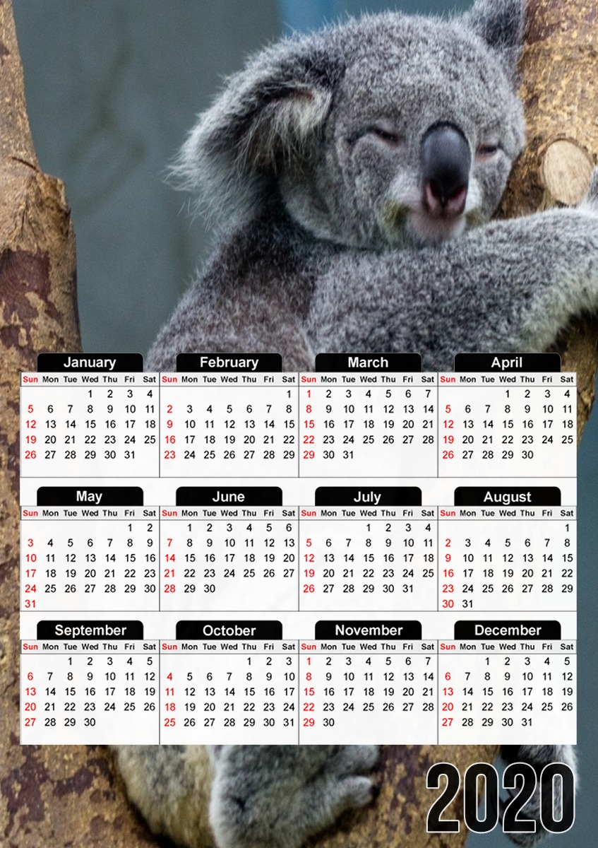 Calendrier Koala Bear Australia
