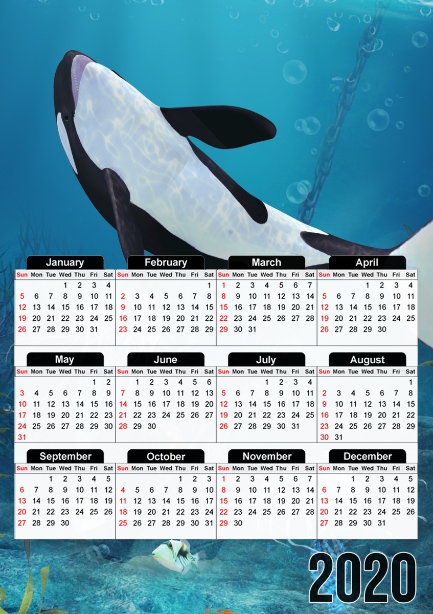 Calendrier Baleine Orca