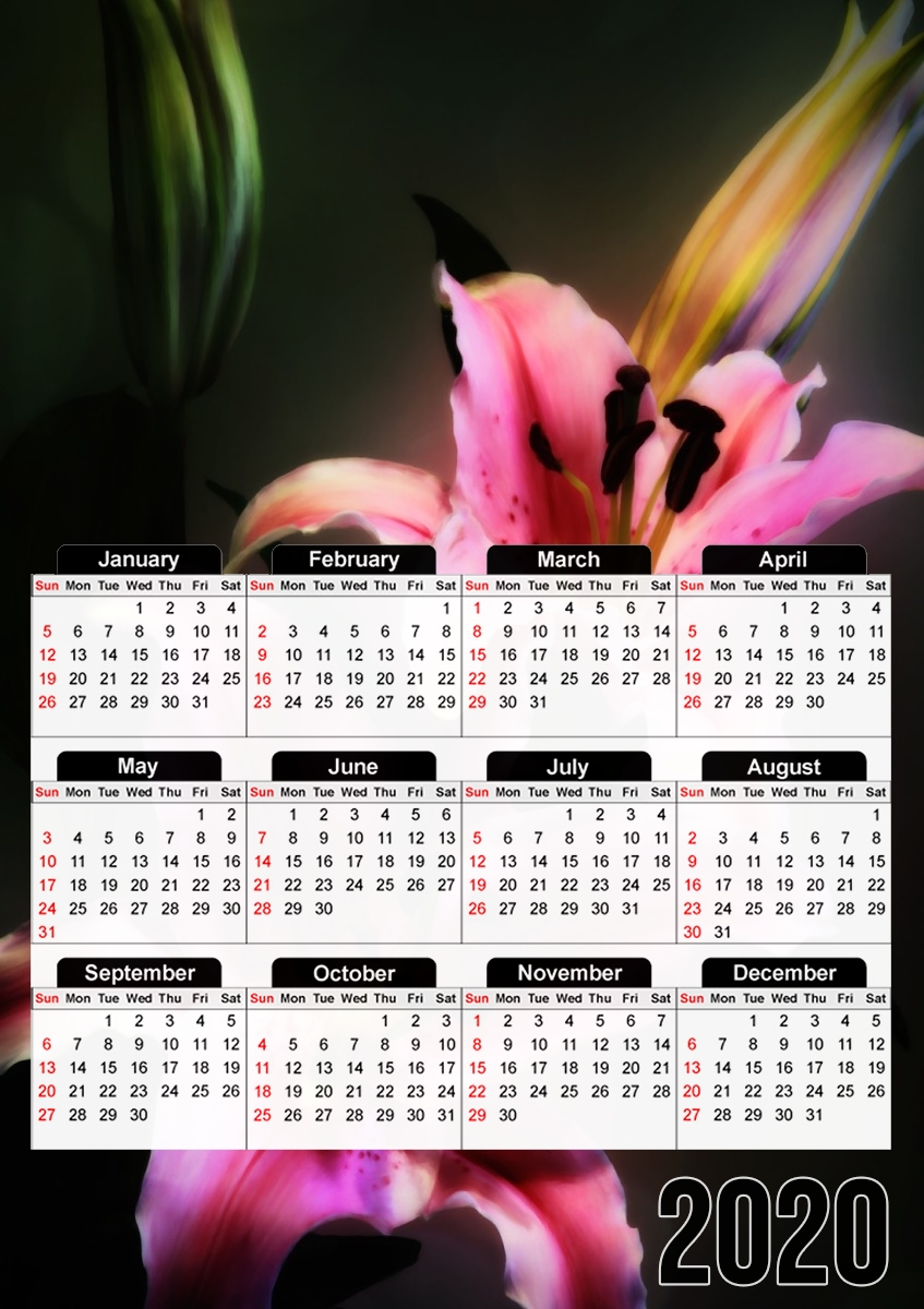 Calendrier Painting Pink Stargazer Lily
