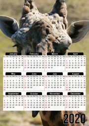 calendrier-photo Sassy Pants Giraffe