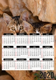 calendrier-photo Trois petits chatons mignons dans un orifice d'un mur