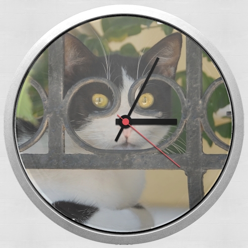 Horloge chat avec montures de lunettes, elle voit par la clôture en fer forgé