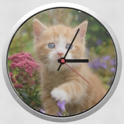 Horloge Bébé chaton mignon marbré rouge dans le jardin