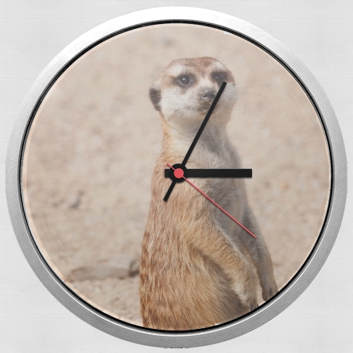 Horloge Meerkat