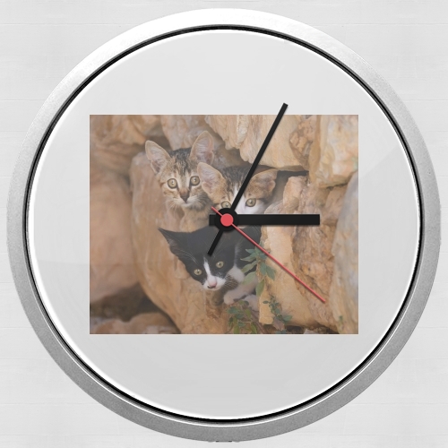 Horloge Trois petits chatons mignons dans un orifice d'un mur