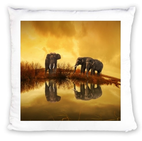 Coussin African Style