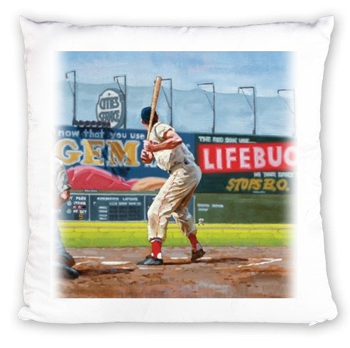 Coussin Baseball Painting