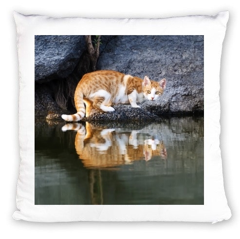 Coussin  Reflet chat dans l'eau d'un étang 
