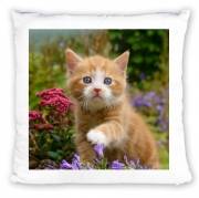 Coussin Personnalisé Bébé chaton mignon marbré rouge dans le jardin