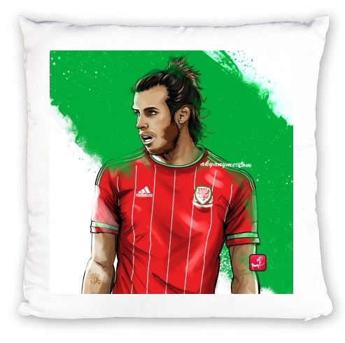 Coussin Euro Wales