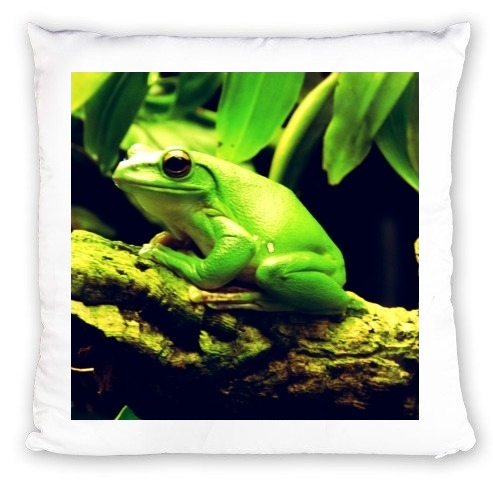 Coussin Green Frog
