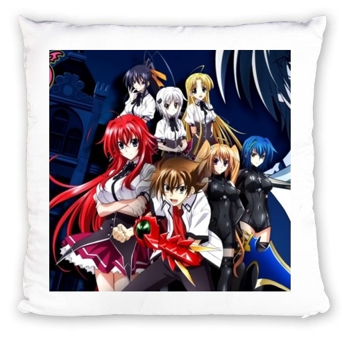 Coussin High School DxD