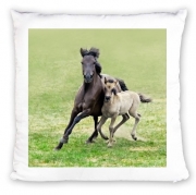 coussin-personnalisable Chevaux poneys poulain